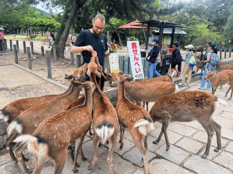From Kyoto: Nara Guided Morning Tour - FAQs