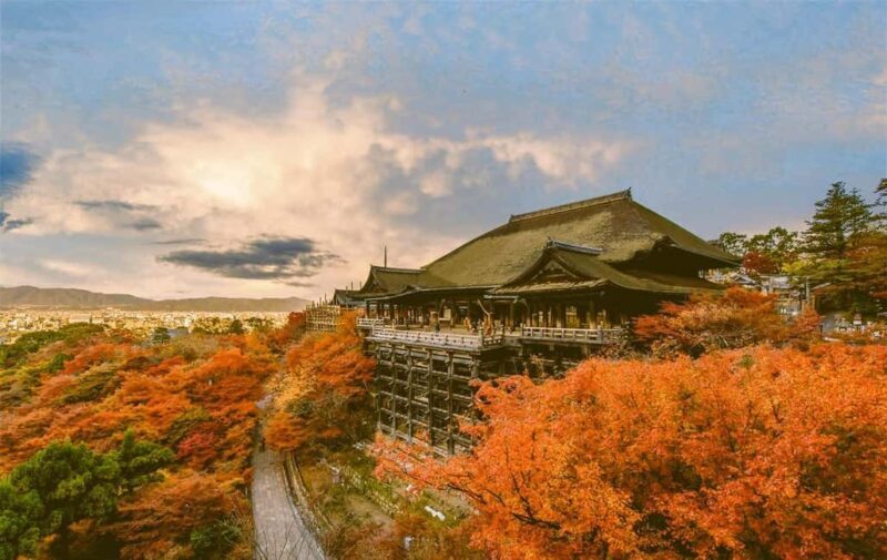 From Kyoto/Osaka Kyoto full day private Hilghts Tour - Good To Know