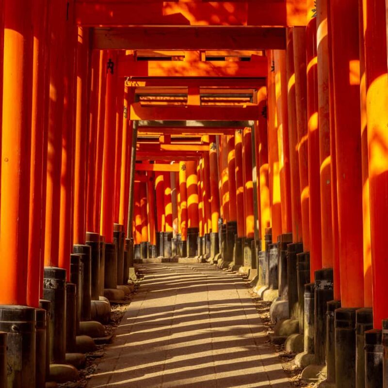 From Kyoto Osaka Nara: Kyoto Private Tour By English Driver - In-Depth Look at Each Stop