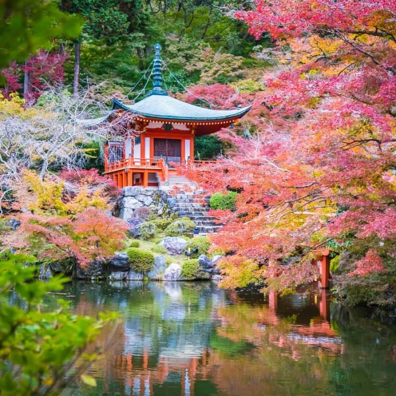 From Kyoto Osaka Nara: Kyoto Private Tour By English Driver - FAQ