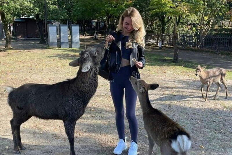 From Kyoto/Osaka: Nara Private Tour with Guide and Vehicle - The Charm of Nara’s Temples and Shrines