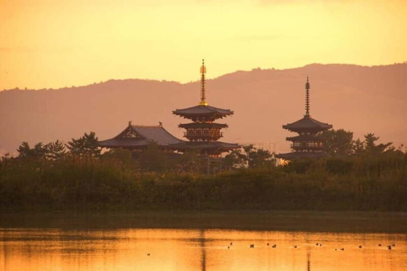 From Kyoto/Osaka: Nara Private Tour with Guide and Vehicle - The Iconic Nara Park and Sacred Deer