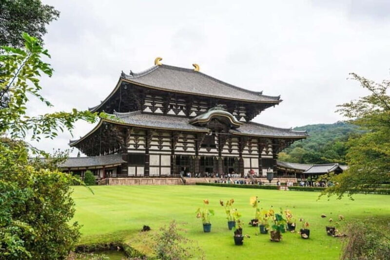 From Kyoto/Osaka: Nara Private Tour with Guide and Vehicle - Practical Aspects