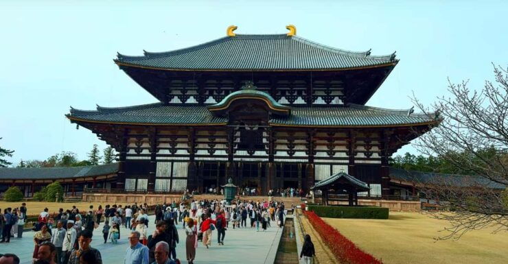 From Kyoto/Osaka: Nara Sightseeing Private Day Tour - Good To Know