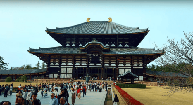 From Kyoto/Osaka: Nara Sightseeing Private Day Tour - Transportation Details