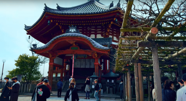 From Kyoto/Osaka: Nara Sightseeing Private Day Tour - Pricing Information