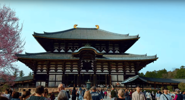 From Kyoto/Osaka: Nara Sightseeing Private Day Tour - Booking and Cancellation Policy