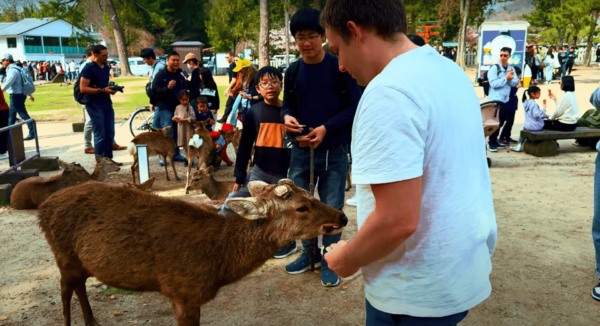 From Kyoto/Osaka: Nara Sightseeing Private Day Tour - Frequently Asked Questions