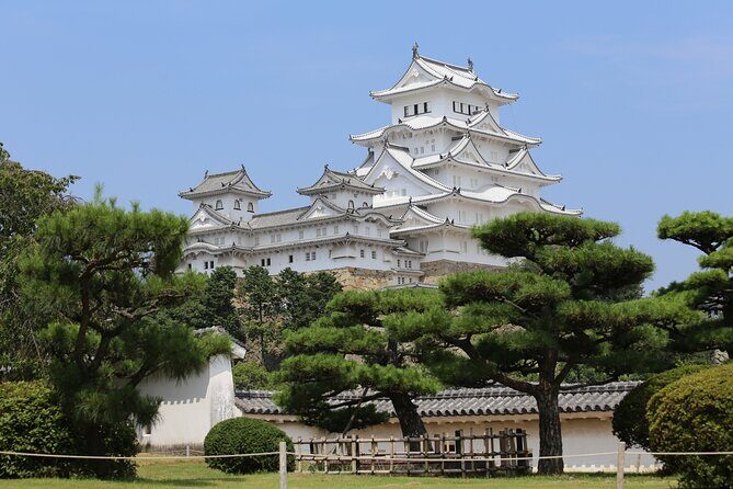 From Kyoto Premium Kobe Beef and Himeji Castle Bus Tour - An In-Depth Look at This Kyoto Day Trip