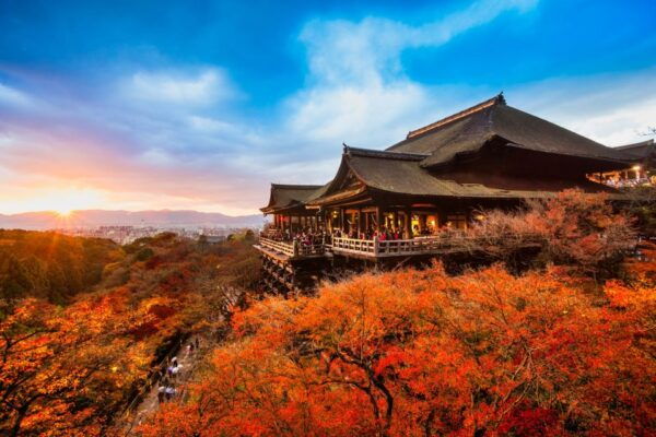 From Kyoto: Sagano Train Ride and Guided Kyoto Day Tour - The Sum Up