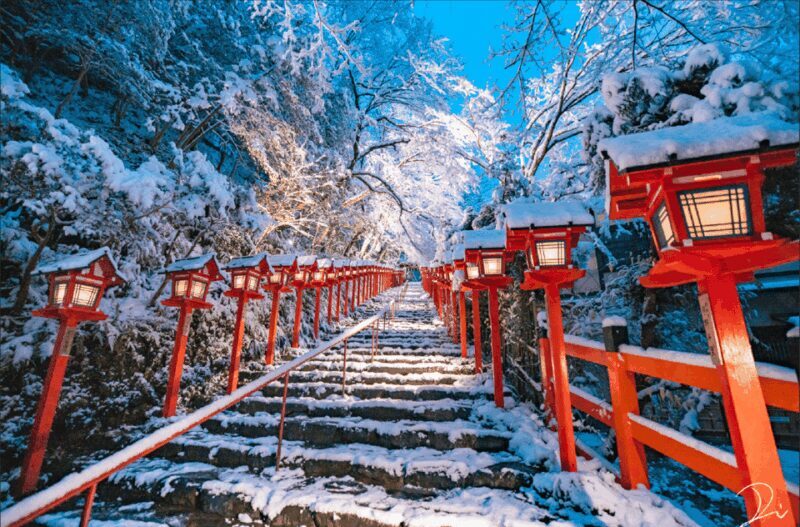 From Kyoto:Day Tour to Kifune Shrine+Kuruma+Sanzen-in Temple - What makes this tour special?