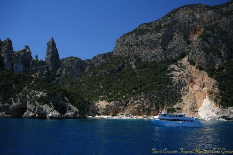 From La Caletta or Orosei: Gulf of Orosei Cruise - Booking Details for the Experience