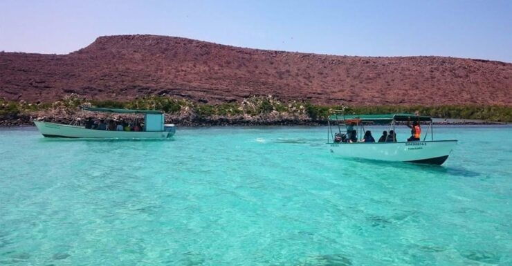 From La Paz: All-inclusive Espíritu Santo Island Tour - Good To Know