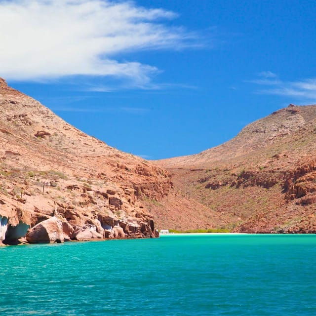 From La Paz: All-inclusive Espíritu Santo Island Tour - Customer Feedback