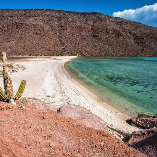 From La Paz: All-inclusive Espíritu Santo Island Tour - Frequently Asked Questions