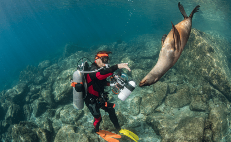 From La Paz: Hotel & Dive Packages: Hotel 7 Crown Downtown - Experience Highlights