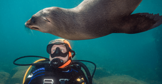 From La Paz: Hotel & Dive Packages: Hotel 7 Crown Downtown - Dive Essentials and Activities
