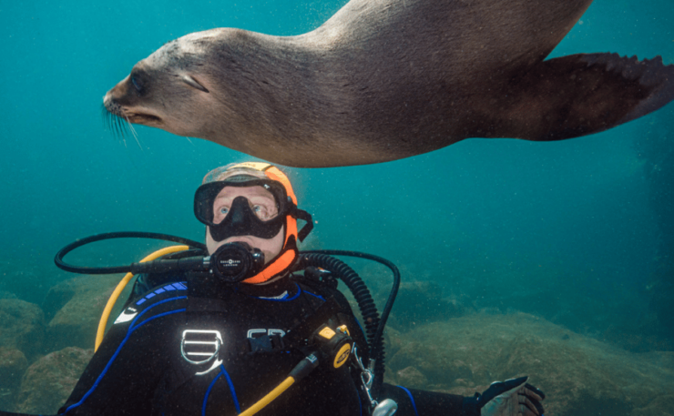 From La Paz: Hotel & Dive Packages: Hotel 7 Crown Malecon - Good To Know