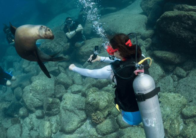 From La Paz: Hotel & Dive Packages: Hotel 7 Crown Malecon - Dining Experience