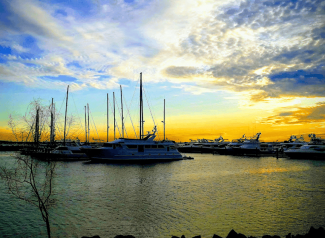 From La Paz: Hotel & Dive Packages: Hotel 7 Crown Malecon - Group Size and Languages