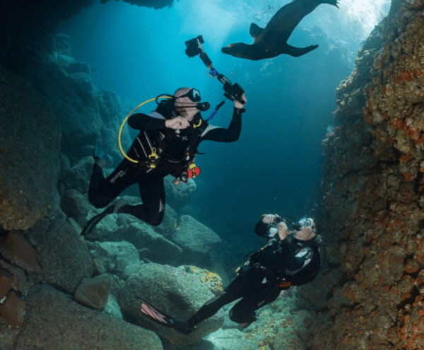 From La Paz: Hotel & Dive Packages: Hotel Costa Baja - Frequently Asked Questions