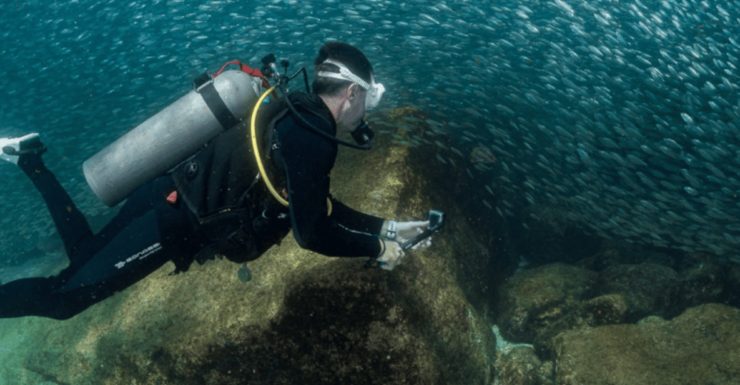 From La Paz: Hotel & Dive Packages: Hotel Hyatt Place La Paz - Good To Know