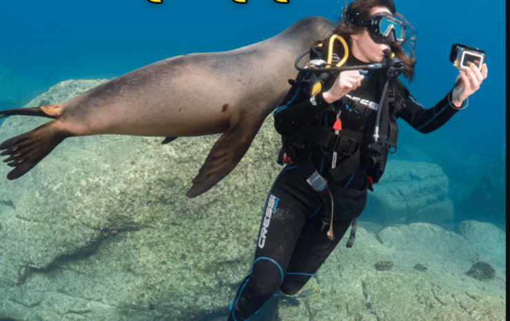 From La Paz: Scuba Diving 2 Tank Dive/3 Tank Dive - Good To Know