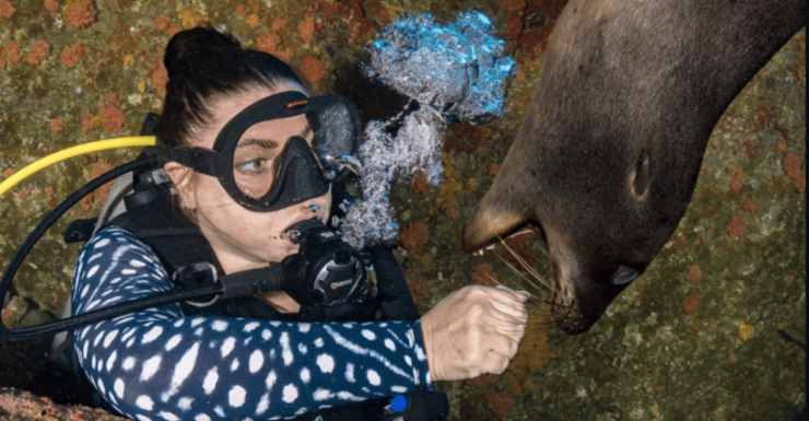 From La Paz: Scuba Diving 2 Tank Dive/3 Tank Dive - Booking and Cancellation