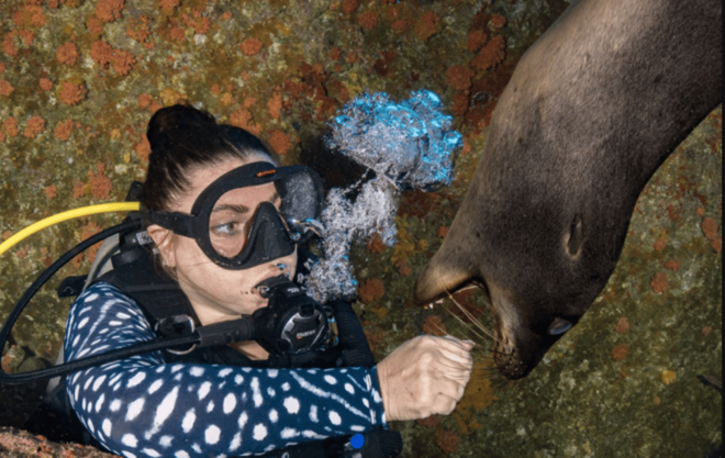 From La Paz: Scuba Diving 2 Tank Dive/3 Tank Dive - Included and Optional Extras