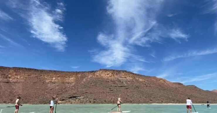 From La Paz: Sea Lions & Paddleboard Tour in Espiritu Santo - Itinerary