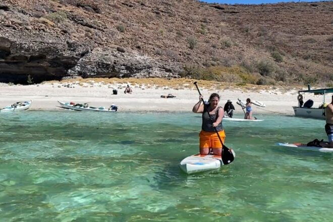 From La Paz: Sea Lions & Paddleboard Tour in Espiritu Santo - Wildlife Experience