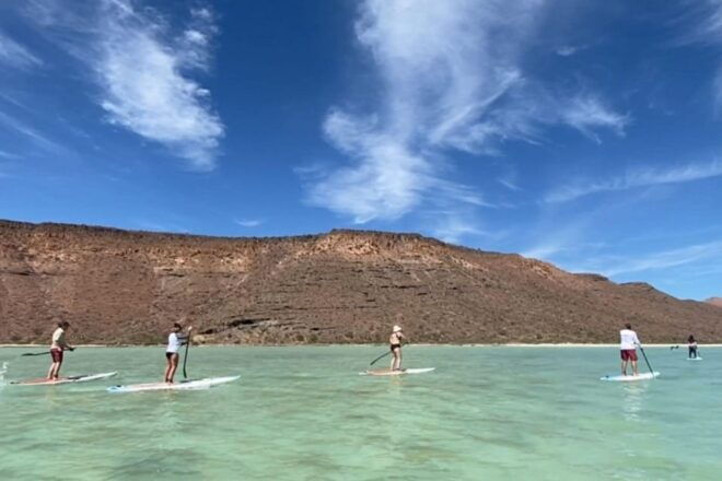 From La Paz: Sea Lions & Paddleboard Tour in Espiritu Santo - Inclusions