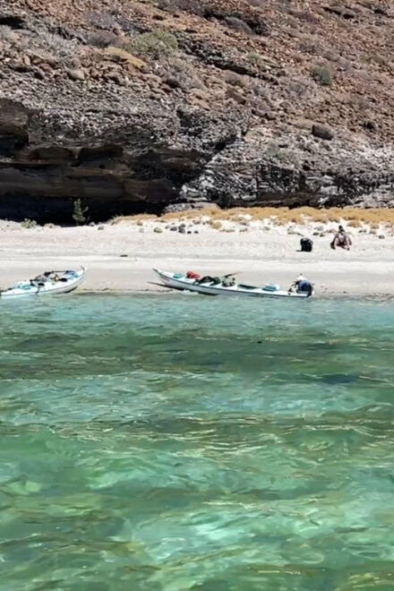 From La Paz: Sea Lions & Paddleboard Tour in Espiritu Santo - Transportation