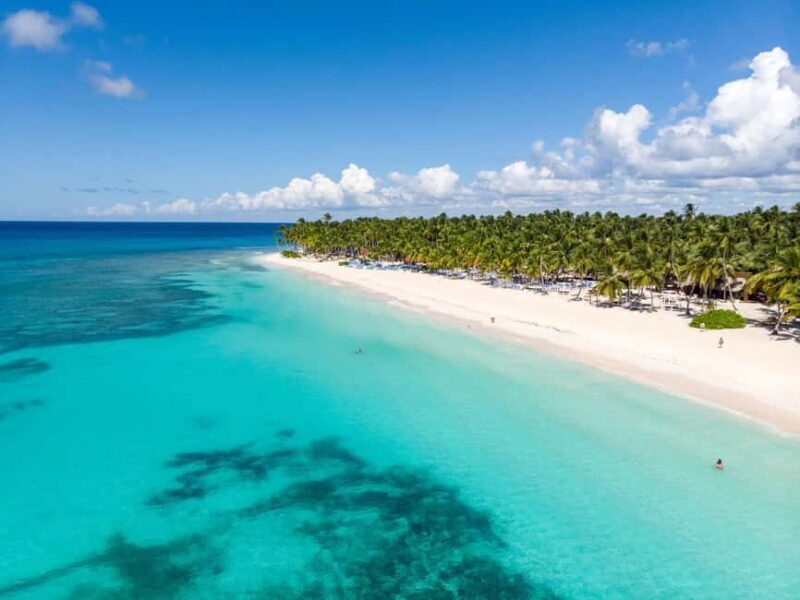 From La Romana: Saona Island All-Inclusive Day Trip - Who Would Love This Tour?
