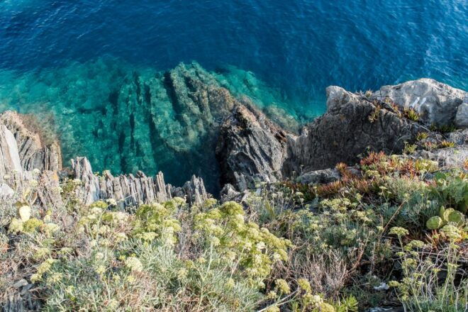 From La Spezia: Cinque Terre Speedboat Tour - Tour Description