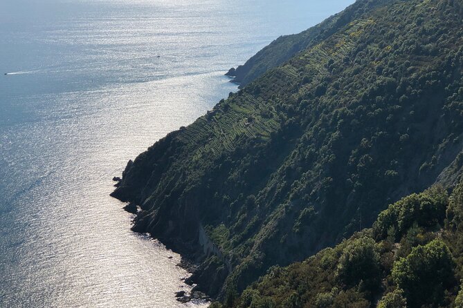 From La Spezia: The Sunset Cinque Terre Boat Tour - Review Verification