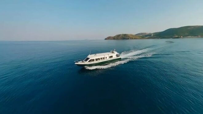 From Labuan Bajo: Day Tour of Komodo Island With Snorkeling - Customer Reviews and Ratings