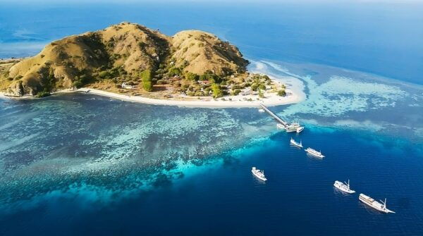 From Labuan Bajo: Day Tour of Komodo Island With Snorkeling - What to Expect on the Tour