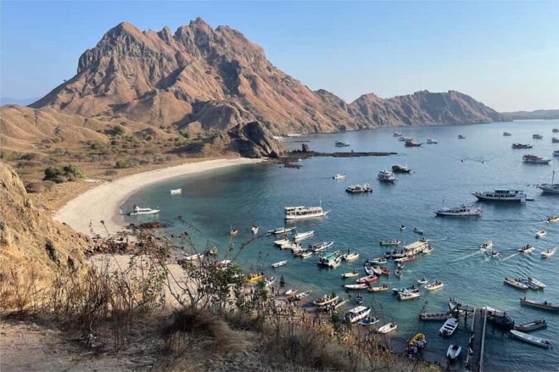 From Labuan Bajo: Komodo Dragons and Island Hop with All Fee - The Itinerary Breakdown: What To Expect