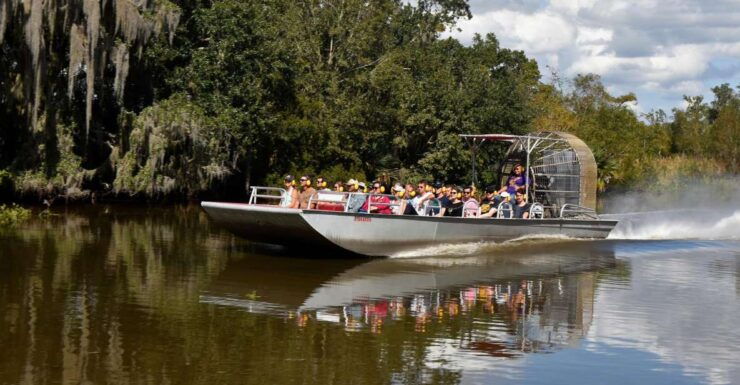 From Lafitte: Swamp Tours South of New Orleans by Airboat - Activity Details