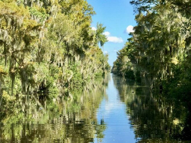From Lafitte: Swamp Tours South of New Orleans by Airboat - Participants and Logistics