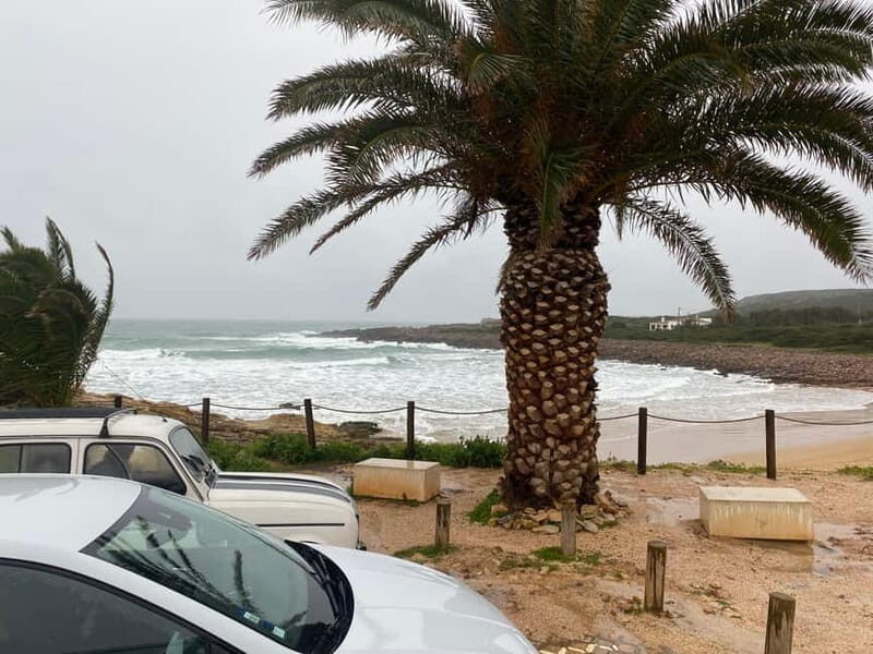 From Lagos: 5 Hour Algarve Coastal Tour with Guide - The Sum Up