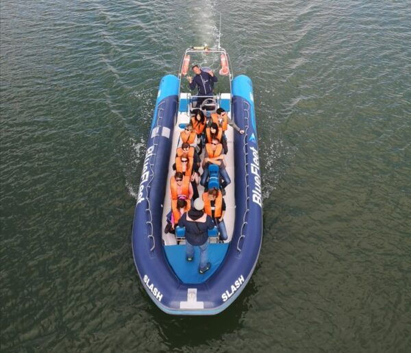 From Lagos: Dolphin Watching Boat Trip - Directions