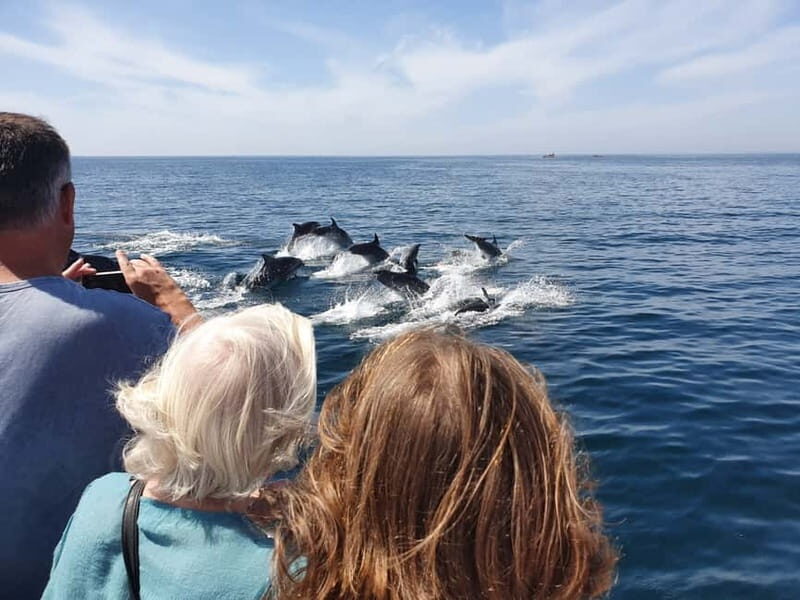 From Lagos: Dolphin Watching Catamaran Cruise - Final Thoughts