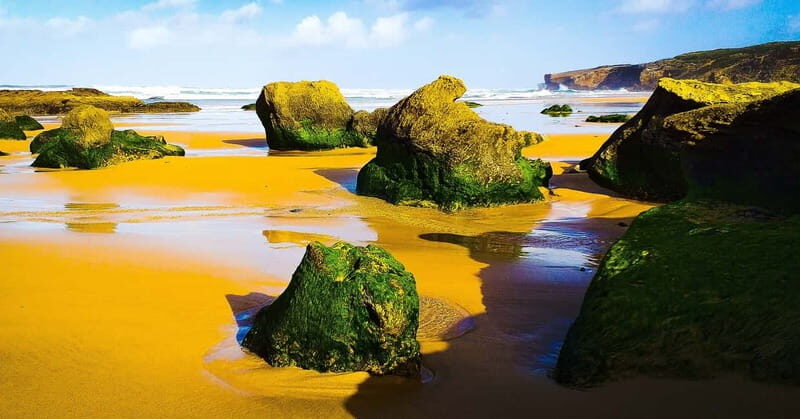 From Lagos: Half-Day West Coast Minivan Tour - FAQs