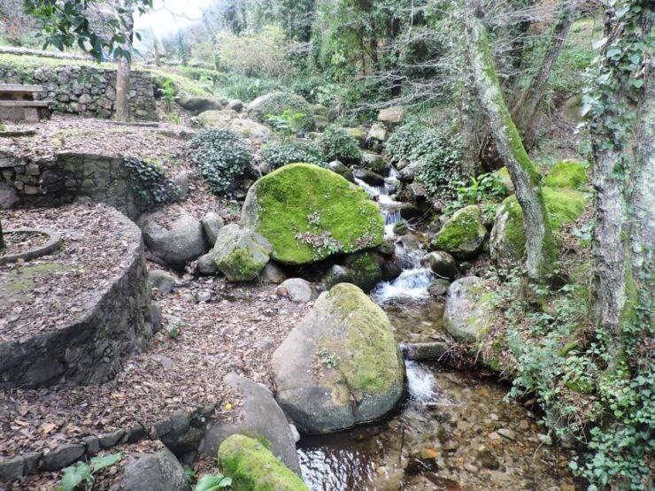 From Lagos: Monchique Guided Forest Walk W/Medronho Tasting - Experience Highlights