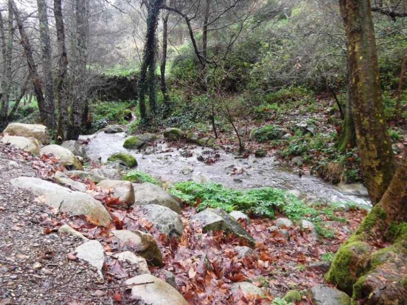 From Lagos: Monchique Private Guided Hike + Medronho Tasting - Exploring the Monchique Private Guided Hike and Medronho Tasting
