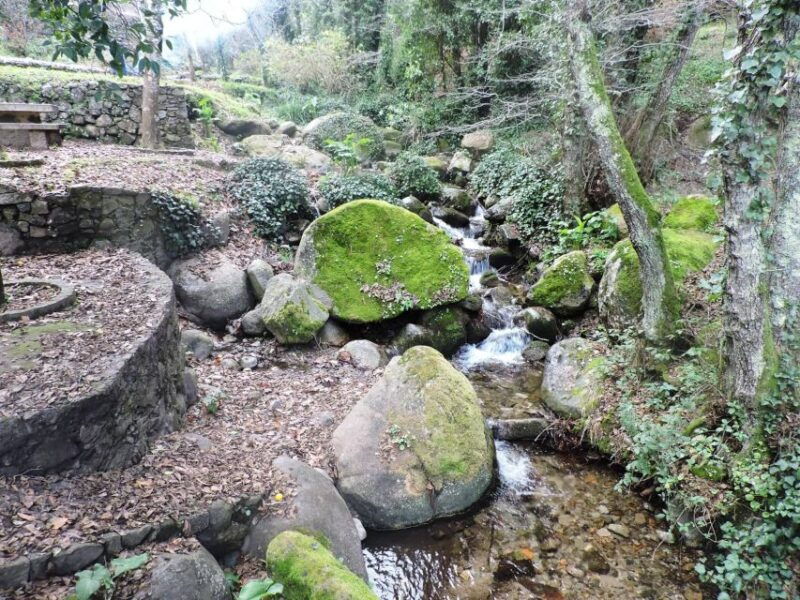 From Lagos: Monchique Private Guided Hike + Medronho Tasting - Practical Details That Matter
