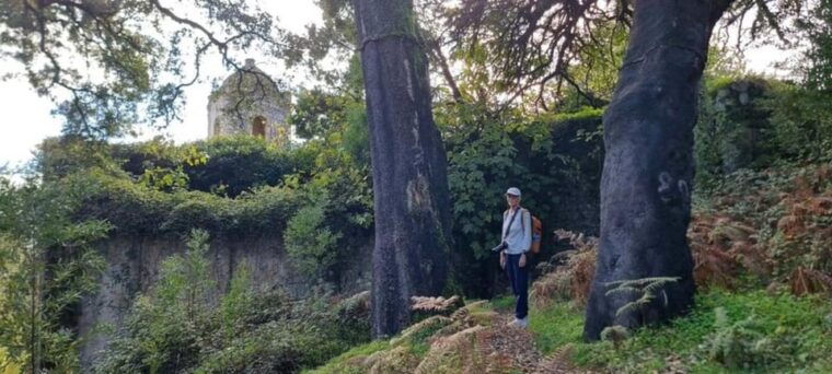 From Lagos: Monchique Private Guided Hike + Medronho Tasting - Who Will Enjoy This Tour?