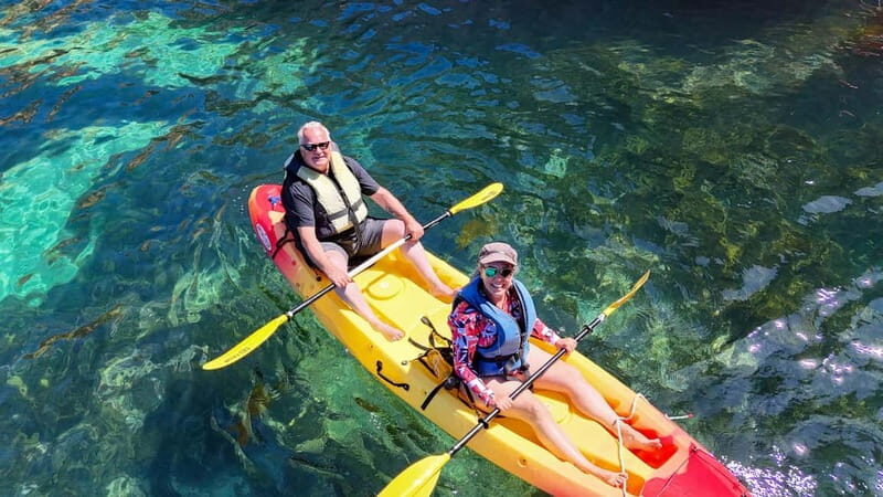 From Lagos: Ponta da Piedade Caves Kayak Tour from Catamaran - The Itinerary: What You’ll Experience